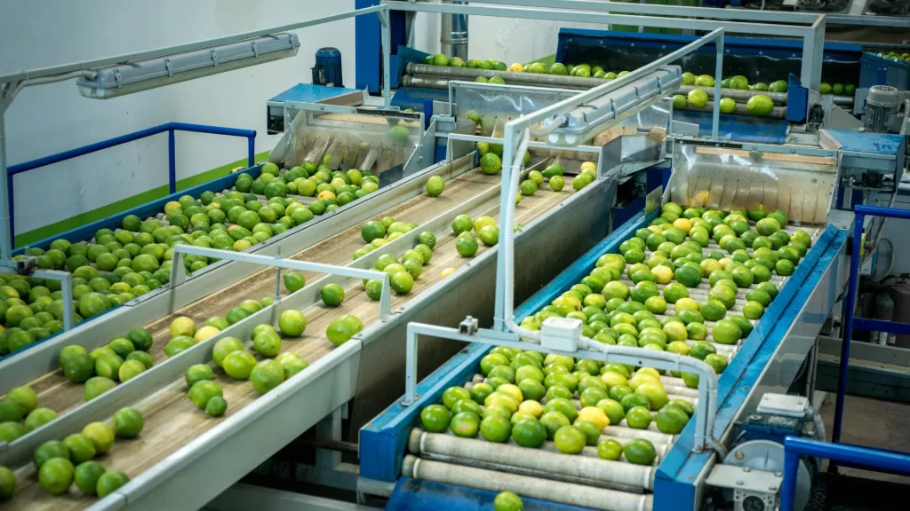 Conveyor Belts types and applications