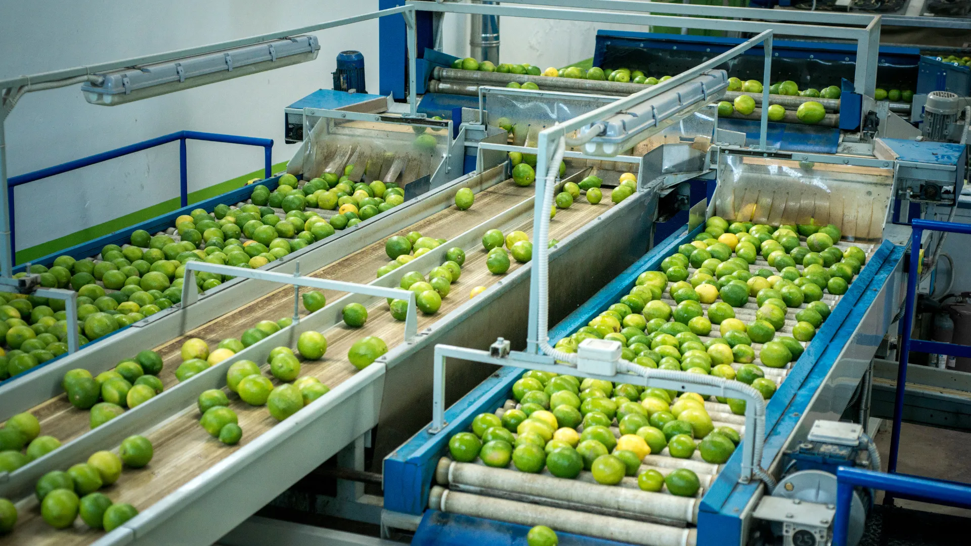 Conveyor Belts types and applications